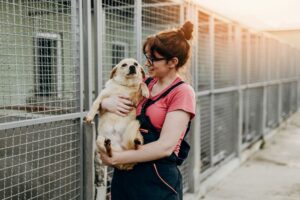 Köpek Kafesi